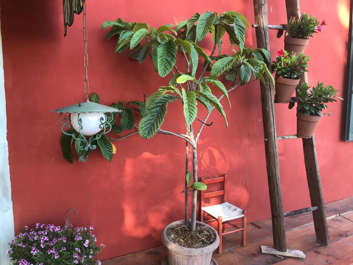 Fattoria Amelia Βίλα Santa Caterina  Εξωτερικό φωτογραφία